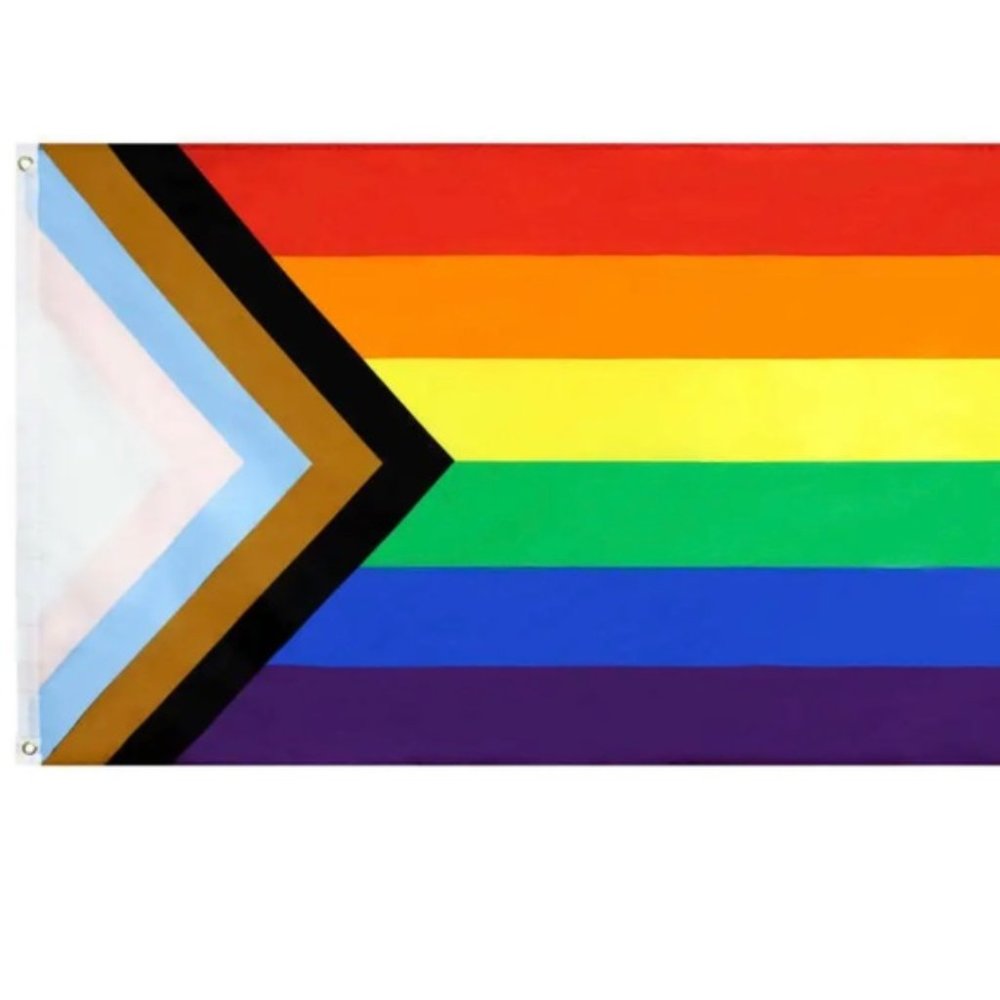 VANS Off the Wall Banner Flag 36 x 60" Logo Multicolor Polyester VN00DNWN0A1